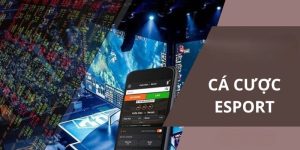 App cá cược esport